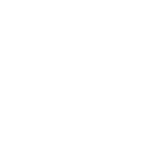 world food