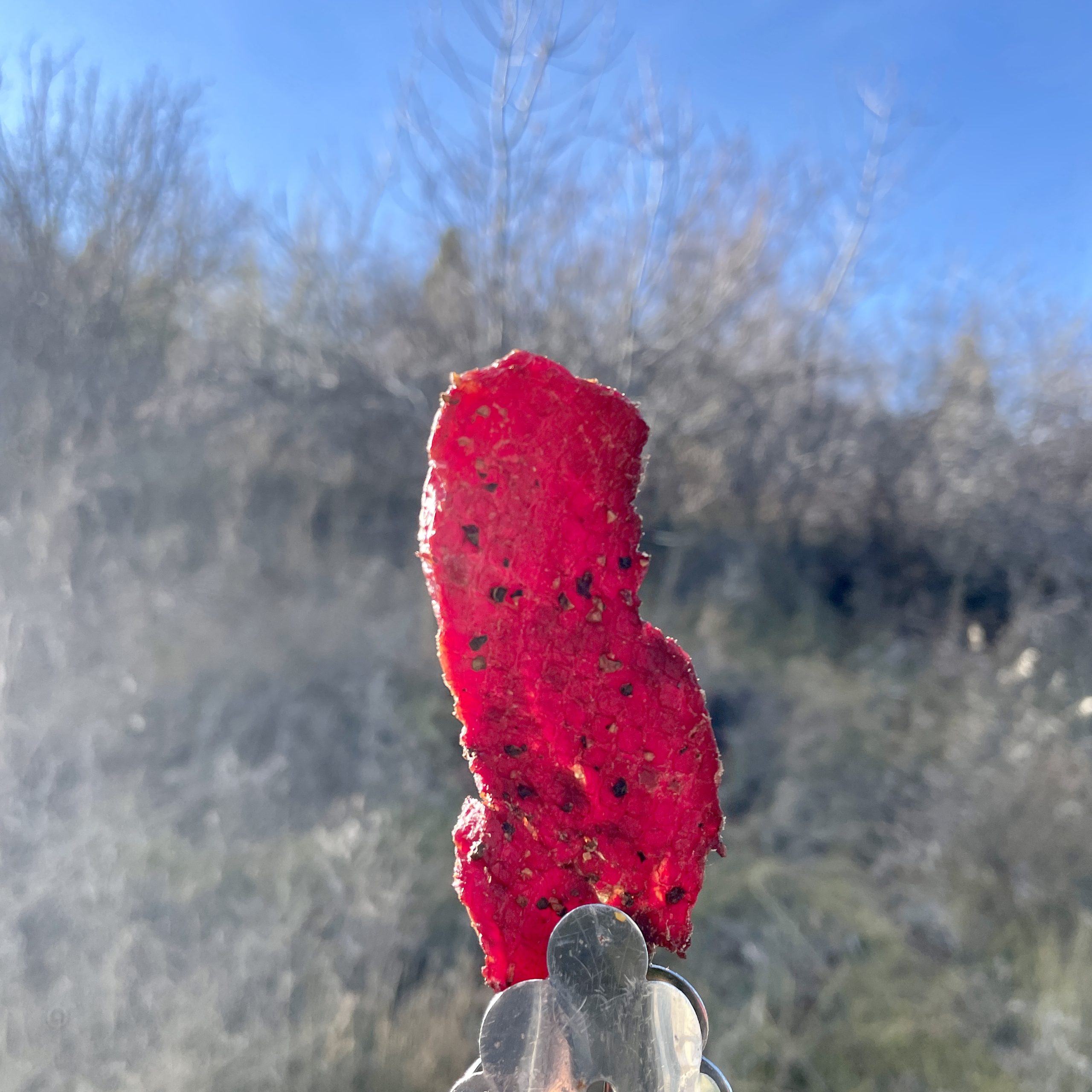 Beef or Venison Jerky
