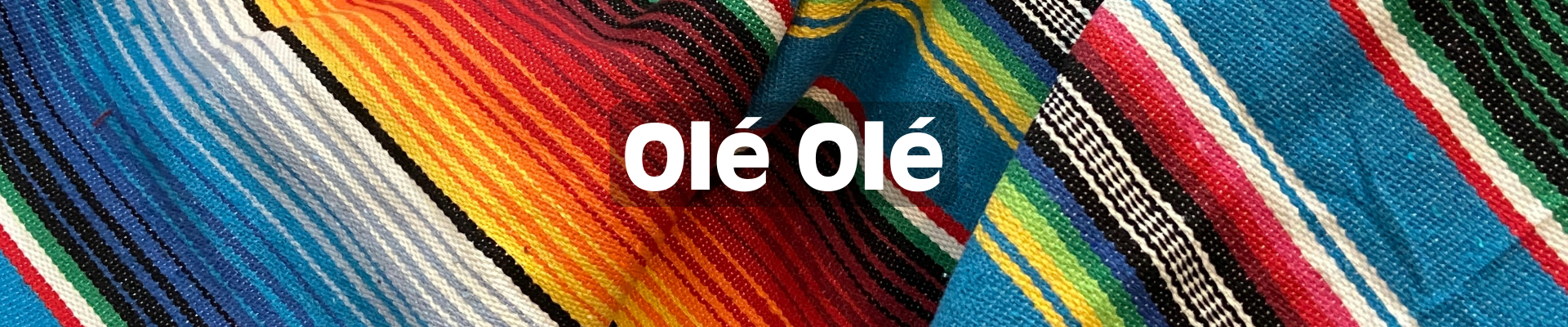 hero banner image for Ole product category Adobo Ole Black Bean ole Fideo Ole Picadillo Ole' and more